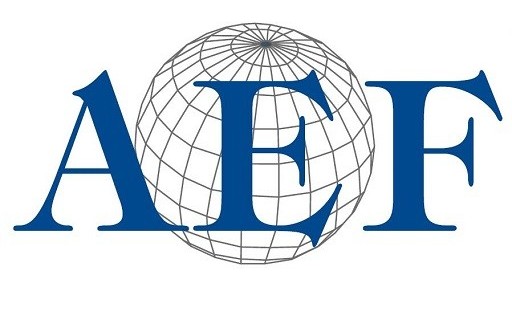 01LOGO AEF SEO