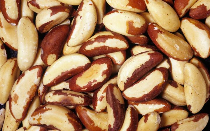 01brazil nuts large