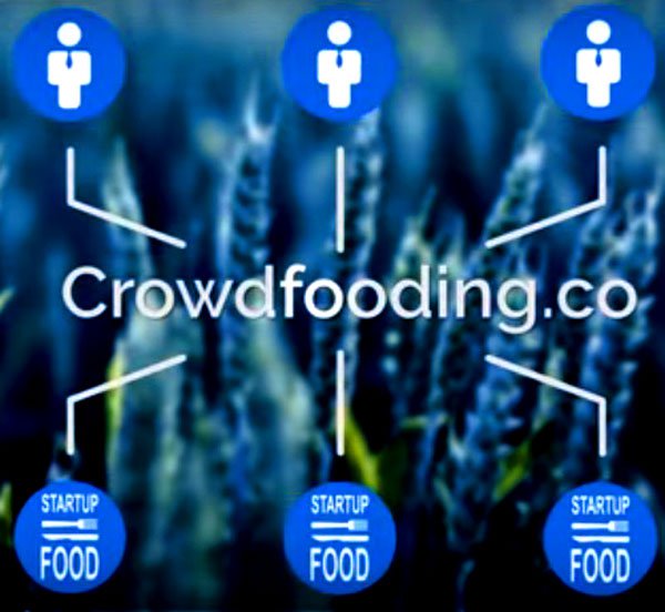 01crowdfooding 1