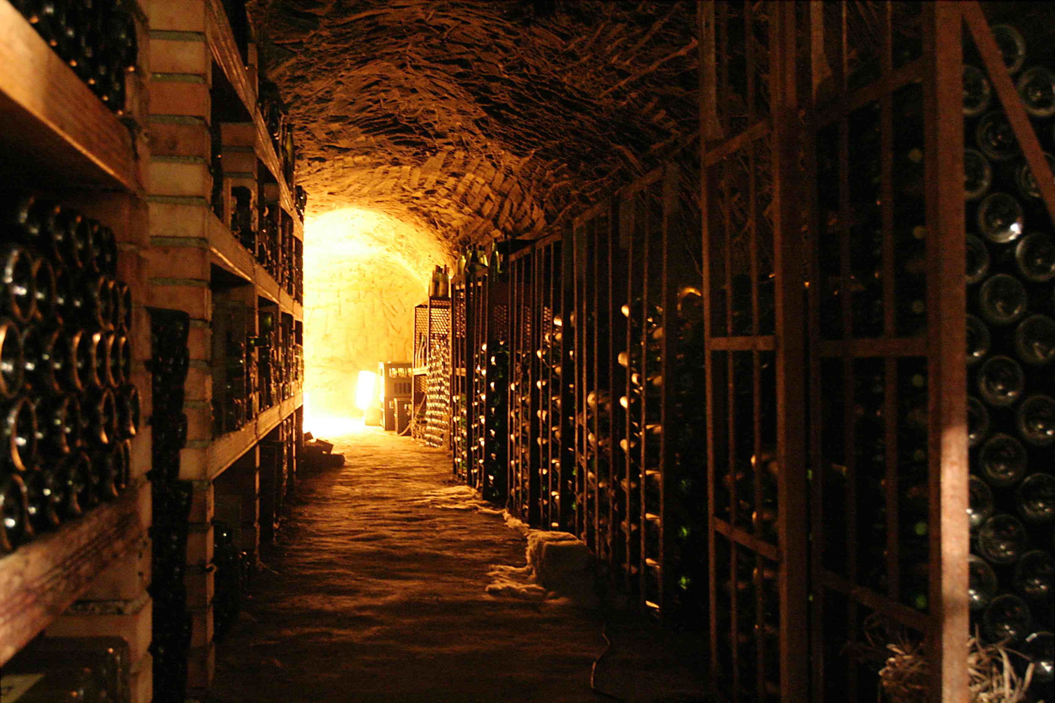 01vino cantina