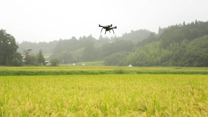 01japan rice drone