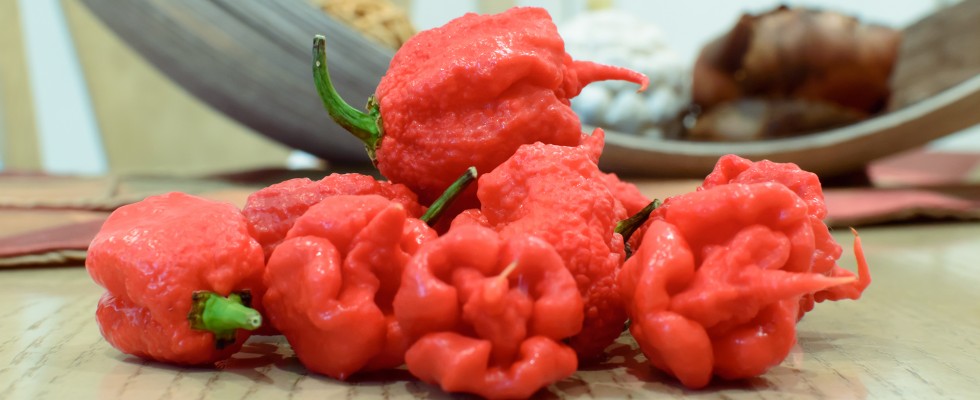 Carolina Reaper Pile 980x400