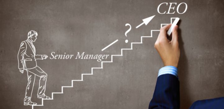 SENIOR MANAGER