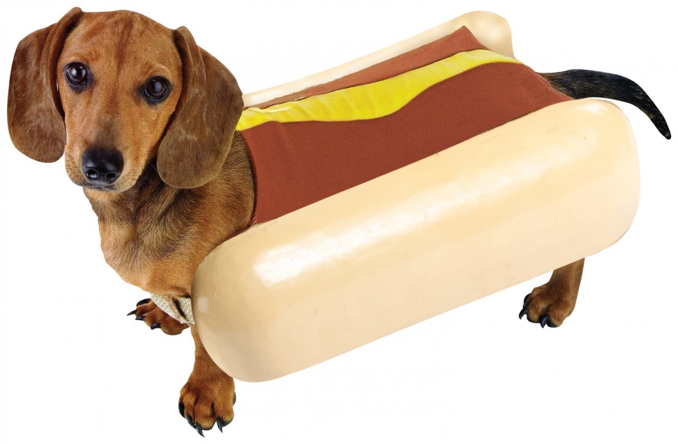 cane hotdog 980x641