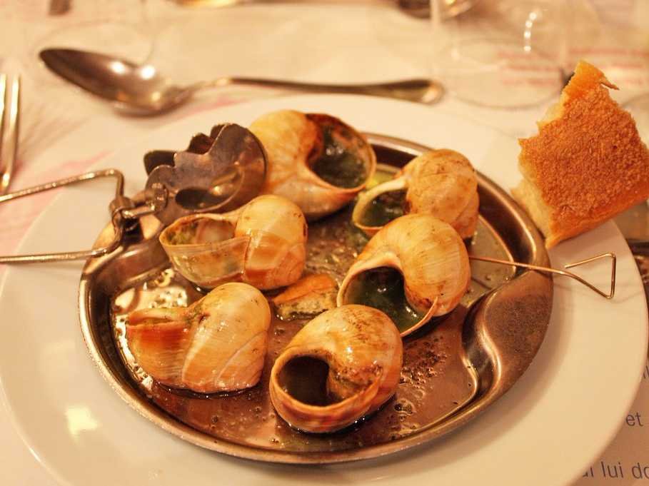 escargot 1