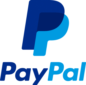 paypal 2014 logo detail 300x296