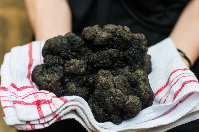 tartufo nero pregiato