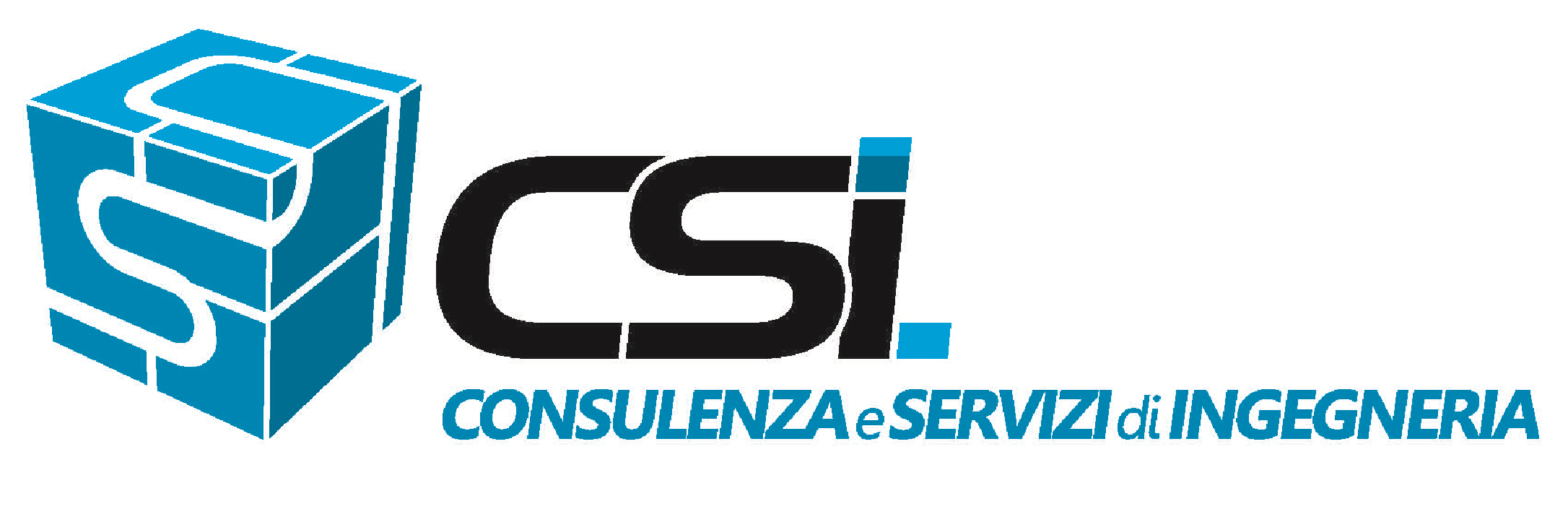 CSI LOGO